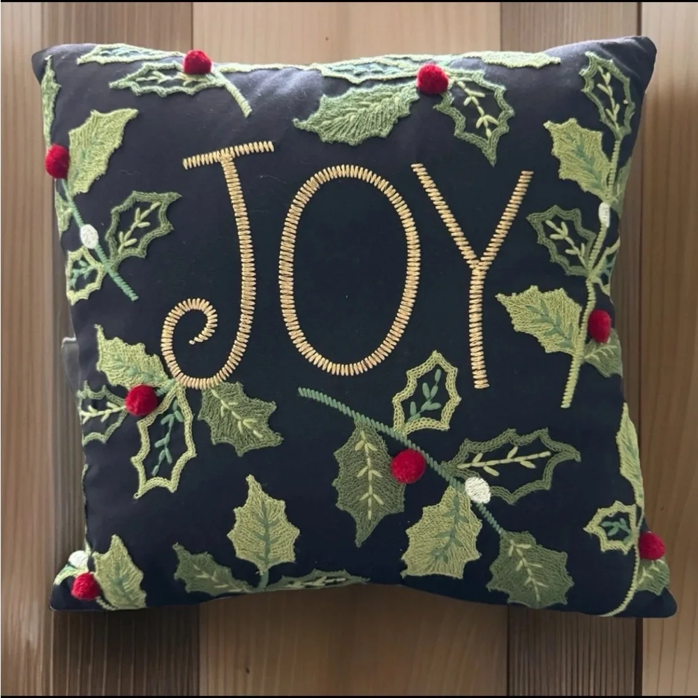 PIER 1 Throw Pillow 15